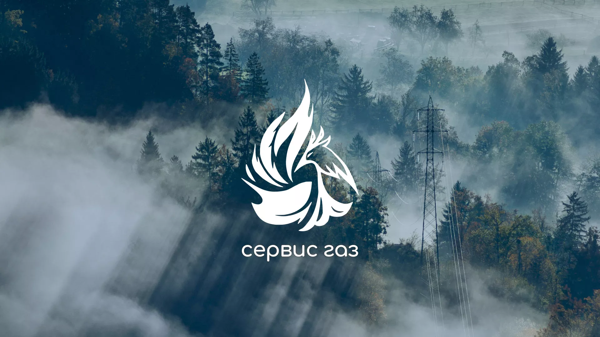 Создание сайта компании «Сервис газ» в Себеже