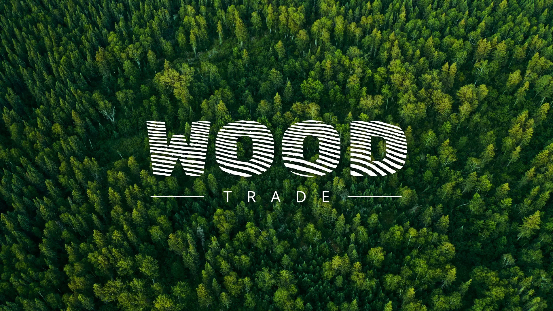 Разработка интернет-магазина компании «Wood Trade» в Себеже
