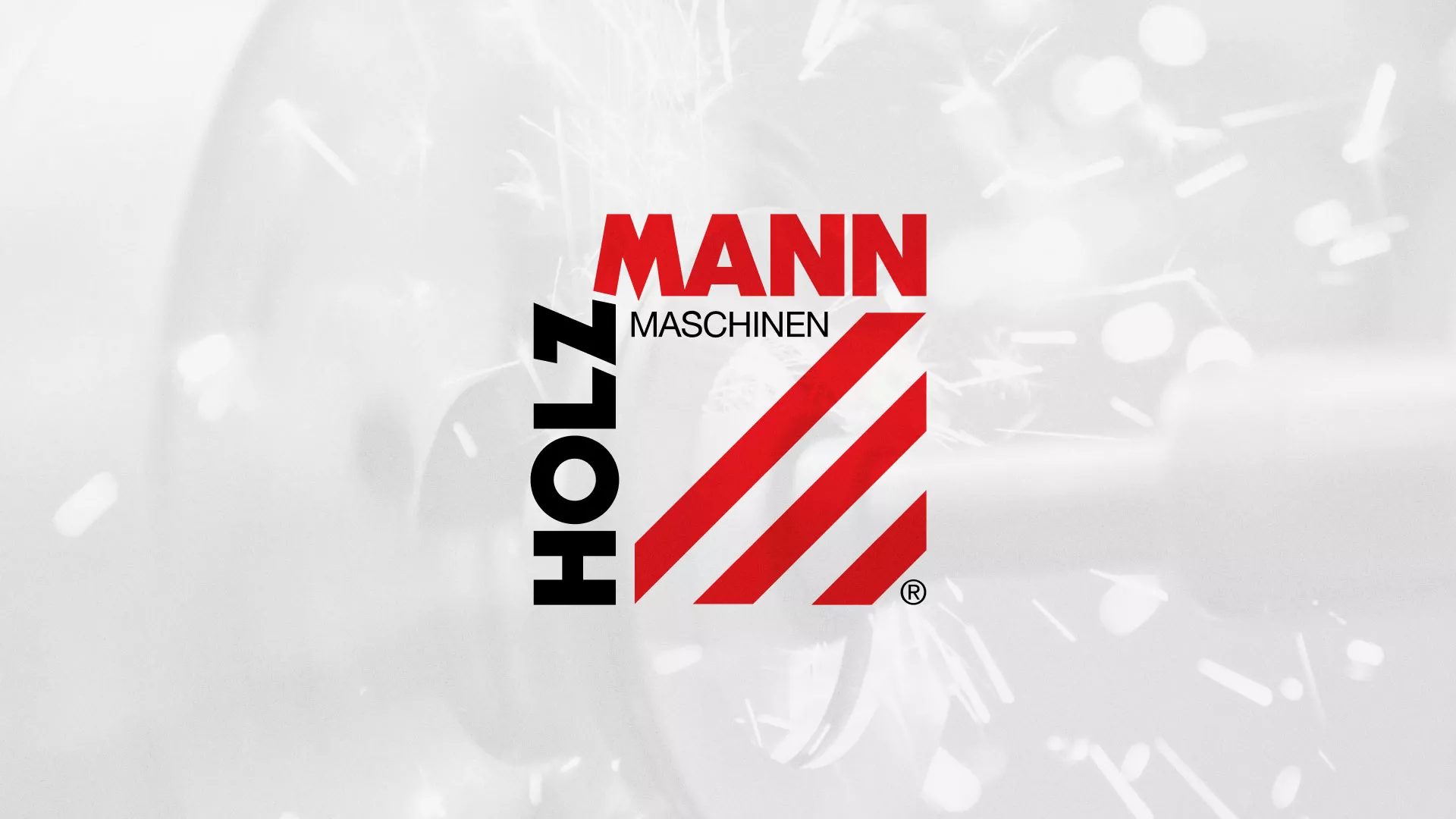 Создание сайта компании «HOLZMANN Maschinen GmbH» в Себеже