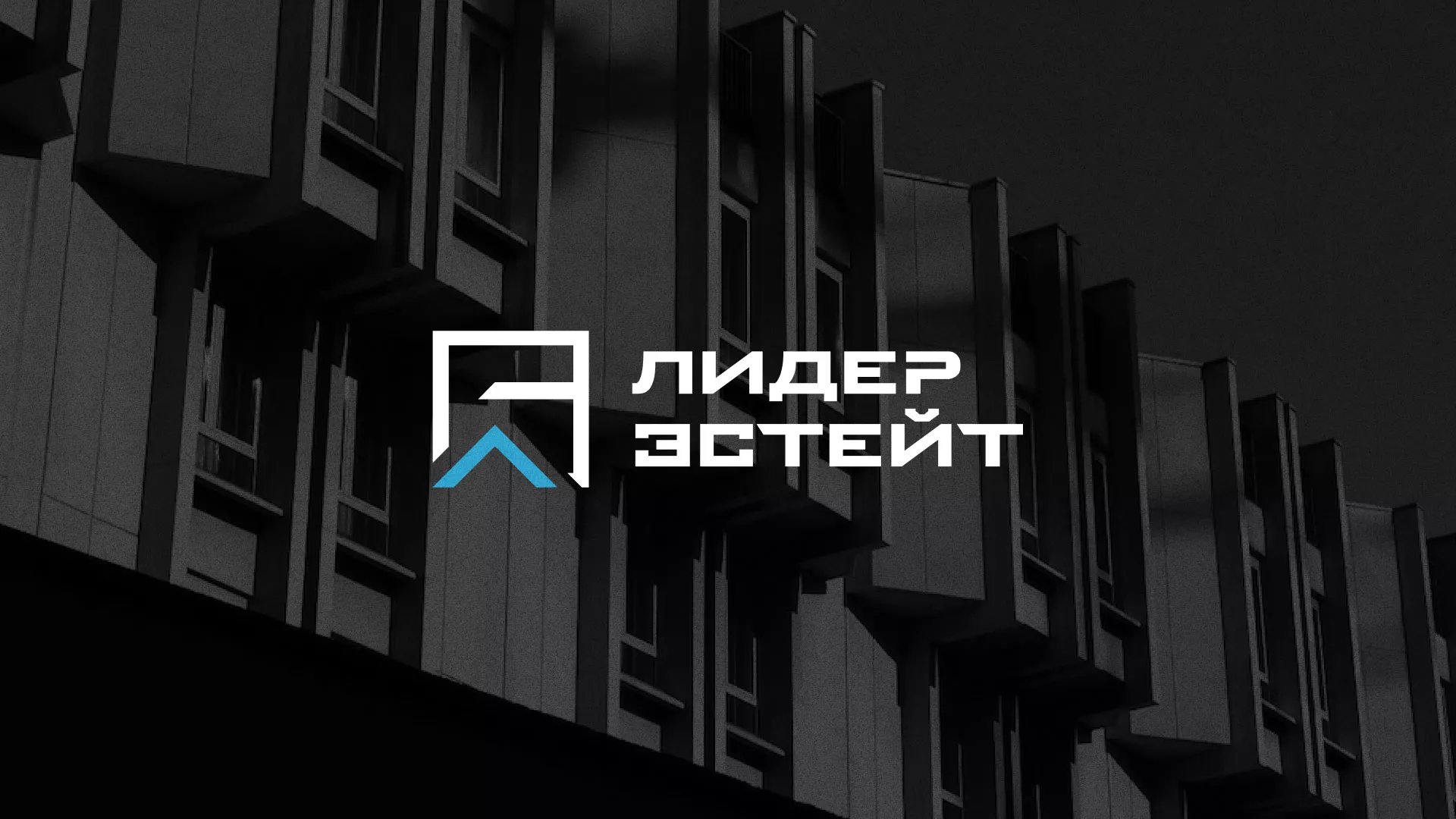 Разработка логотипа агентства недвижимости «Лидер Эстейт» в Себеже