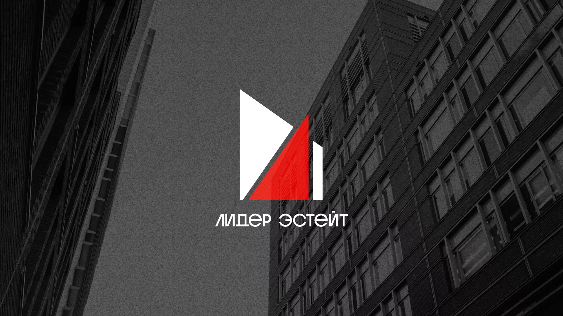Сделали логотип для агентства недвижимости «Лидер Эстейт» в Себеже